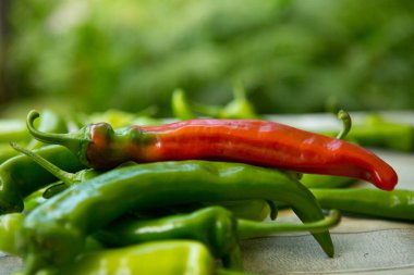 Bulanık yeşil arka planda acı kırmızı biber.