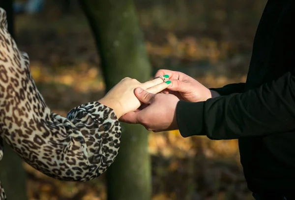 Brudgummen Sätter Vigselring Brudens Finger Förlovningen — Stockfoto