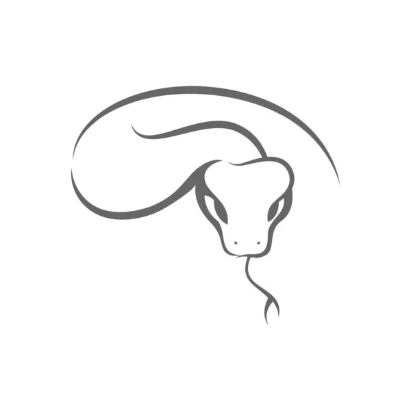 Python Logotipo Ícone Design Ilustração Vetor —  Vetores de Stock