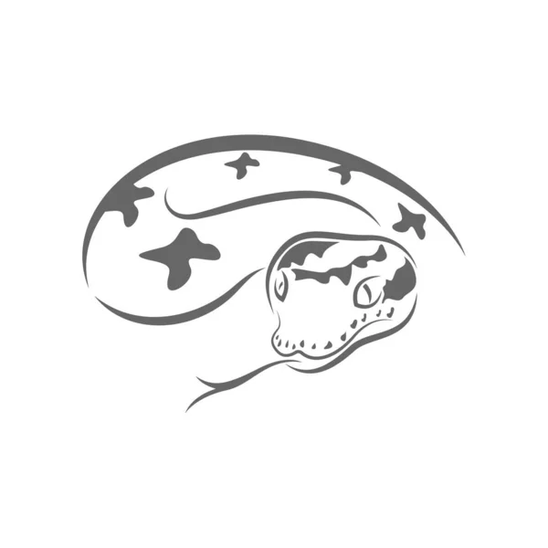 Python Logo Ikon Design Illustration Vektor — Stock vektor