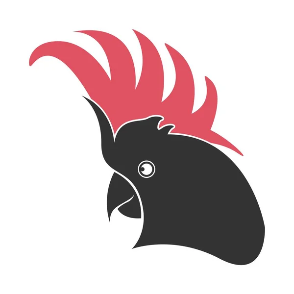 Illustration Design Logo Perroquet Icône — Image vectorielle
