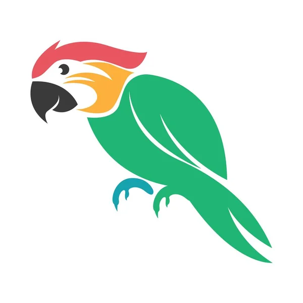 Papagei Logo Symbol Design Illustration — Stockvektor