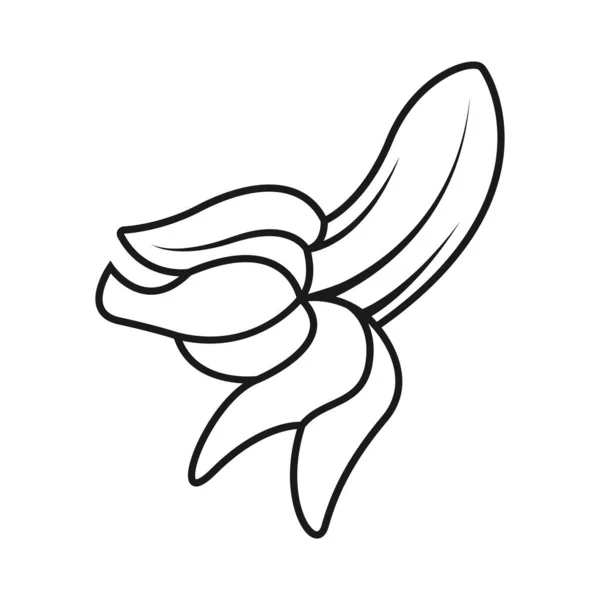 Illustration Bananlogotypen — Stock vektor