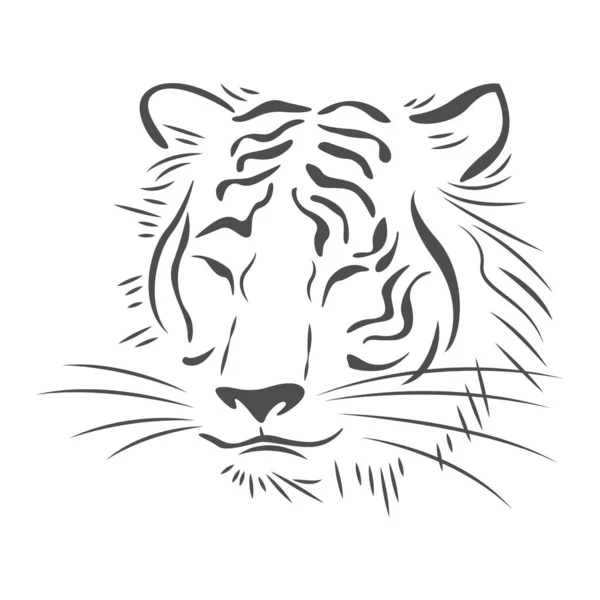 Εικονογράφηση Σχεδίασης Εικονιδίου Τίγρης — Διανυσματικό Αρχείο