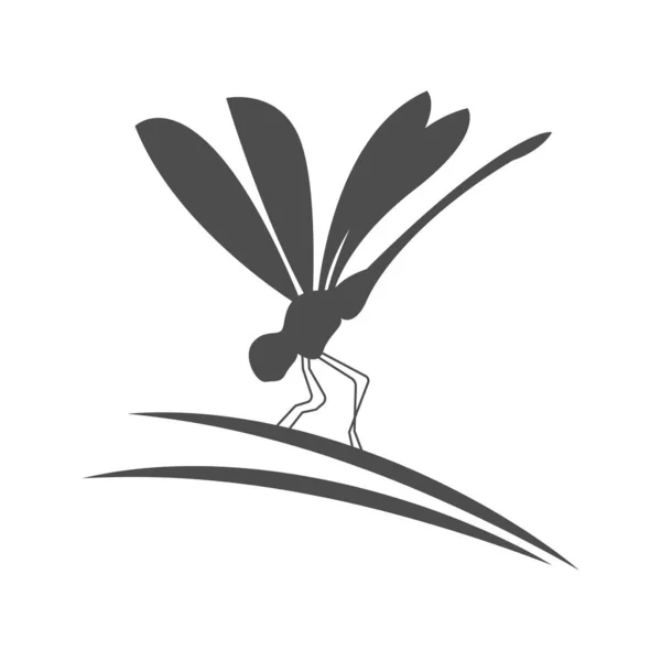 Dragonfly Logo Pictogram Ontwerp Illustratie — Stockvector