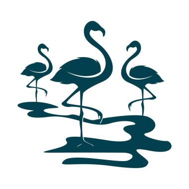 Flamingo logo tasarım illüstrasyonu