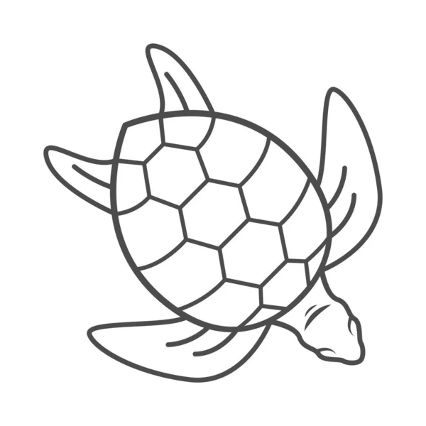 Kaplumbağa Logo Tasarımı Illüstrasyonu Stok Vektör