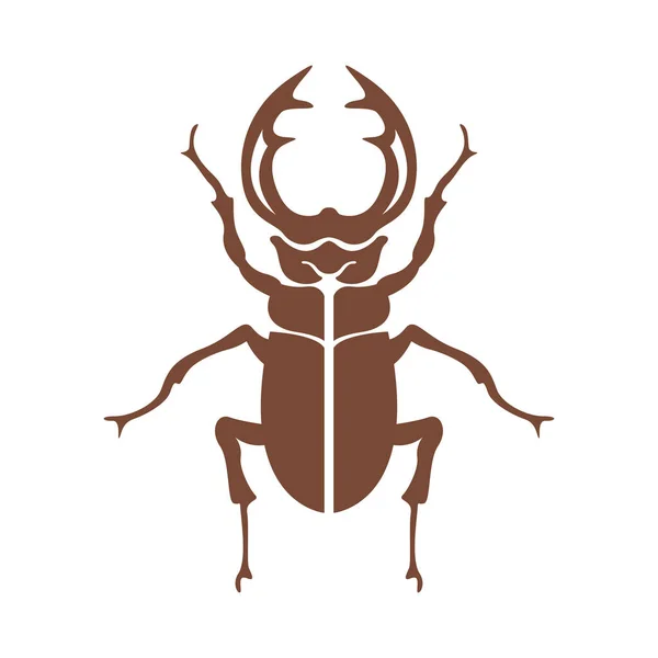 Beetle Logo Icon Design Illustration — Stock Vector