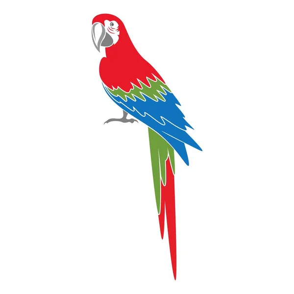 Ilustrace Designu Loga Papouška — Stockový vektor