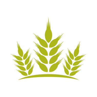 Buğday simgesi logo tasarımı illüstrasyonu