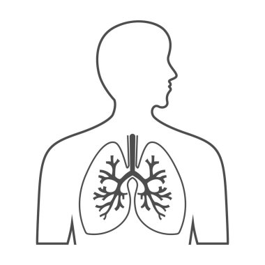 Akciğerler resim simgesi tasarım şablonu