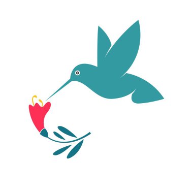 Hummingbird logo tasarım şablonu