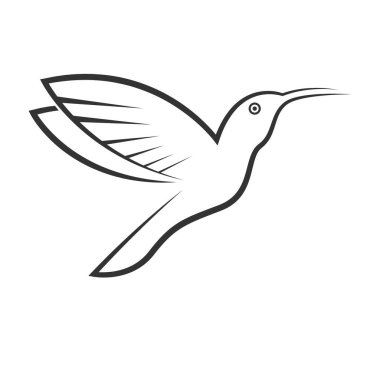 Hummingbird logo tasarım şablonu
