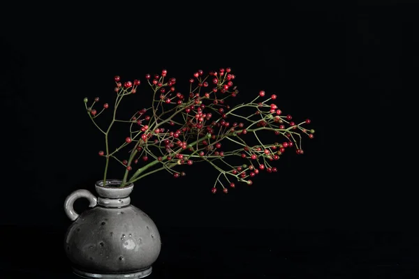 Bunch Red Berries Table Grey Vase High Quality Photo — Stock Photo, Image
