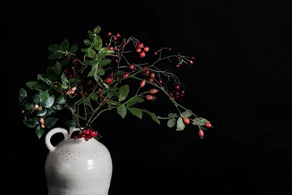 Branches Red Berries White Vase High Quality Photo — Stock Photo, Image