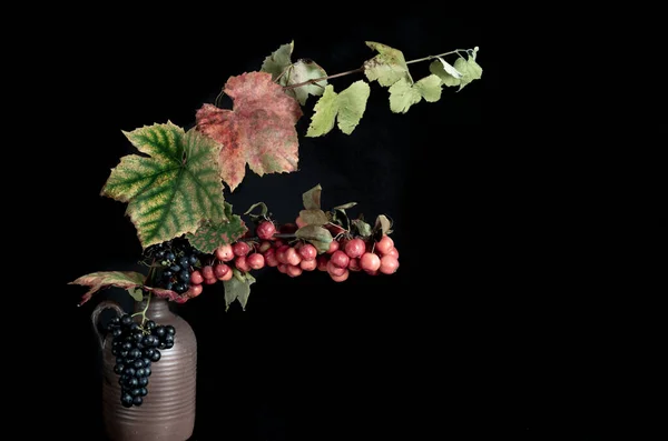 茶色のヴィンテージの花瓶に観賞用のリンゴとブドウの枝 高品質の写真 — ストック写真