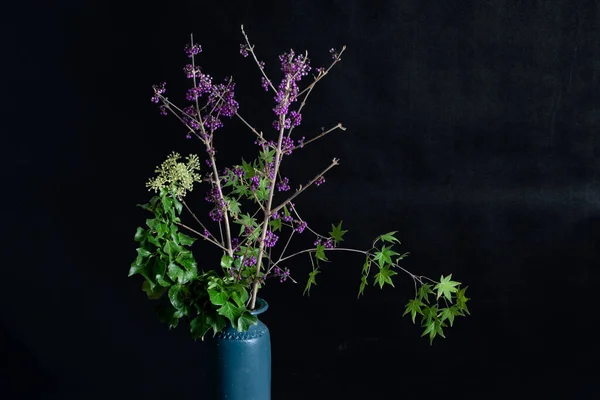 Callicarpa Hedera Helix Blue Vase High Quality Photo — Stock Photo, Image