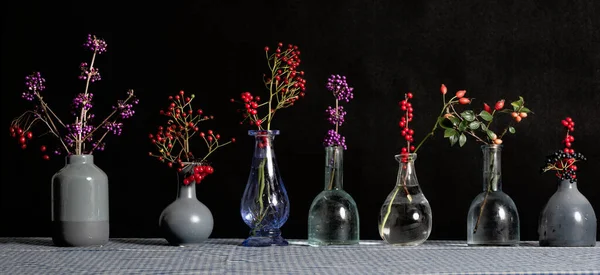 Une Collection Vases Avec Une Variété Baies Photo Haute Qualité — Photo