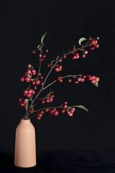 Bunch Berries Table Vase High Quality Photo — Stock Photo, Image