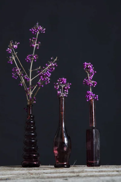 Bbranches Purple Callicarpa Vintage Vases Ranches Purple Callicarpa Vintage Vases — Stock Photo, Image
