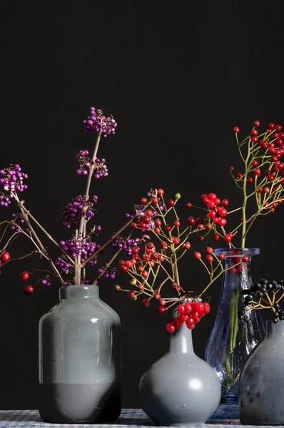 Collection Vases Variety Berries High Quality Photo — Stock Photo, Image