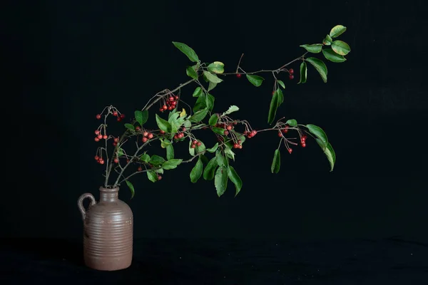 Branches Red Berries Brown Vase High Quality Photo — Stock Photo, Image