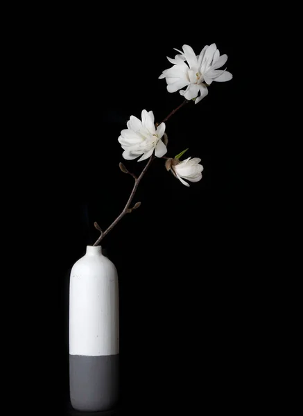 Beautiful white magnolia in a vintage vase. High quality photo