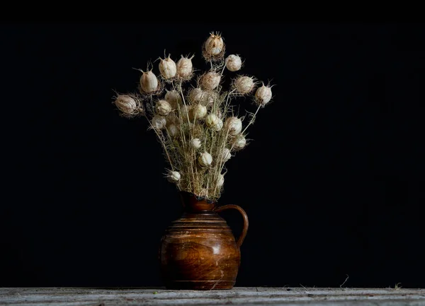 Nigella Fleur Séchée Gousses Graines Dans Vase Photo Haute Qualité — Photo