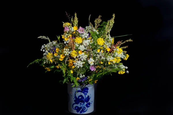 Świeże Kwiaty Zbierane Pobliżu Dróg Holandia Wysokiej Jakości Zdjęcie — Zdjęcie stockowe
