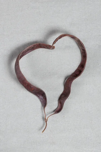 心臓の形をしたセラトニア シリカ豆 高品質の写真 — ストック写真