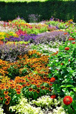 Güzel ve renkli yıllık çiçek bahçesi, Grugapark Almanya. Yüksek kalite fotoğraf