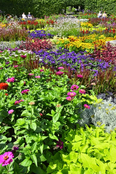 Hermoso Colorido Jardín Anual Flores Grugapark Alemania Foto Alta Calidad —  Fotos de Stock