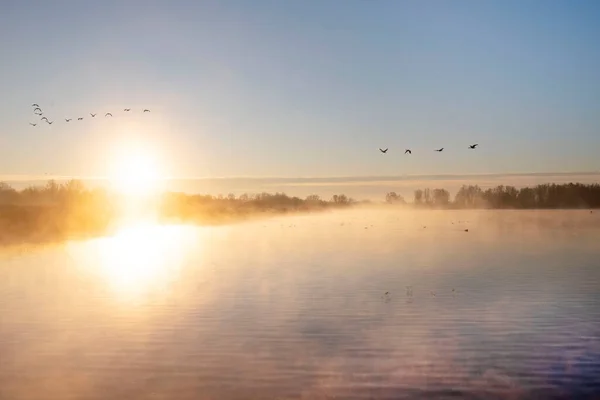 美丽的冬日清晨 荷兰湖畔的日出 高质量的照片 图库照片