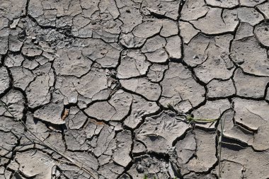 Kuru ve çatlamış toprak, yağmur eksikliğinden dolayı kuru. Yüksek kalite fotoğraf
