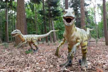 Dinozor, Tyrannosaurus Rex ormanda. Yüksek kalite fotoğraf