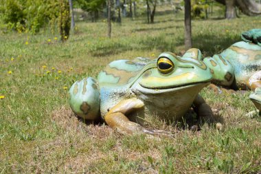 Gerçekçi sahte plastik kurbağa çimenlerde oturuyor. Yüksek kaliteli fotoğraf.