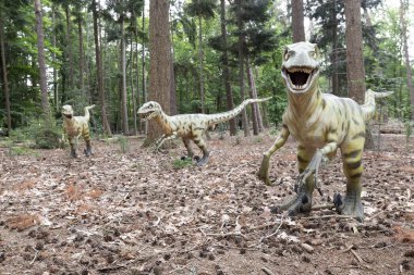 Dinozor, Tyrannosaurus Rex ormanda. Yüksek kalite fotoğraf