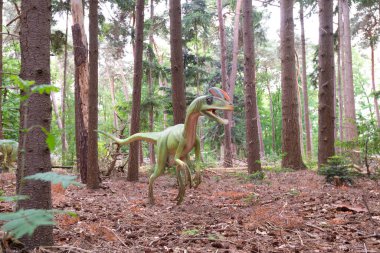 Yeşil doğal ortamda Velociraptor Dinozor. Yüksek kalite fotoğraf