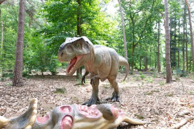 Dinozor, Tyrannosaurus Rex ormanda. Yüksek kalite fotoğraf