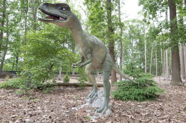 Dinozor, Tyrannosaurus Rex ormanda. Yüksek kalite fotoğraf