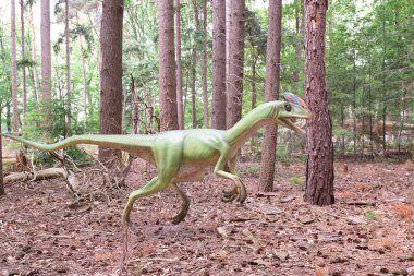 Yeşil doğal ortamda Velociraptor Dinozor. Yüksek kalite fotoğraf