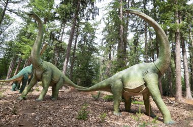 Vahşi ormandaki gerçekçi Diplodocus dinozor heykeli. Yüksek kalite fotoğraf