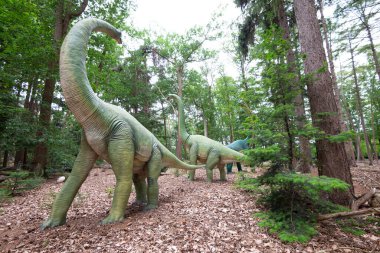 Vahşi ormandaki gerçekçi Diplodocus dinozor heykeli. Yüksek kalite fotoğraf