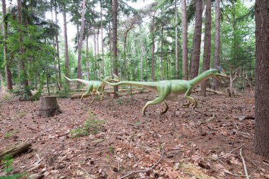 Yeşil doğal ortamda Velociraptor Dinozor. Yüksek kalite fotoğraf