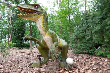 Yeşil doğal ortamda Velociraptor Dinozor. Yüksek kalite fotoğraf