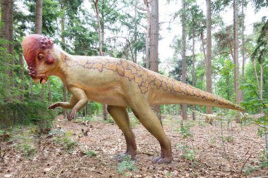 Oertijdmuseum-Boxtel-12-06-2022: Hollanda 'da bir ormanda Pachycephalosaurus. Yüksek kalite fotoğraf