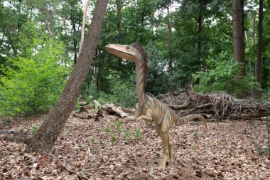 Oertijdmuseum-Boxtel-12-06-2022: Compsognathusin Ormanı, Hollanda. Yüksek kalite fotoğraf