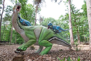 Yeşil doğal ortamda Velociraptor Dinozor. Yüksek kalite fotoğraf