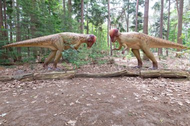 Oertijdmuseum-Boxtel-12-06-2022: Hollanda 'da bir ormanda Pachycephalosaurus. Yüksek kalite fotoğraf