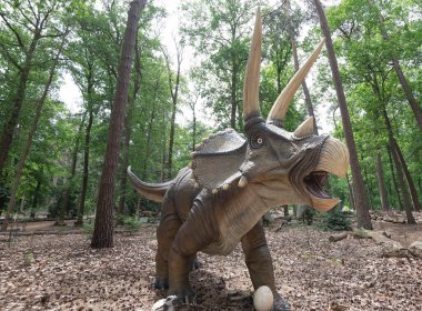Oertijdmuseum-Boxtel-12-06-2022: Hollanda 'daki müzenin dışında Triceratops. Yüksek kalite fotoğraf